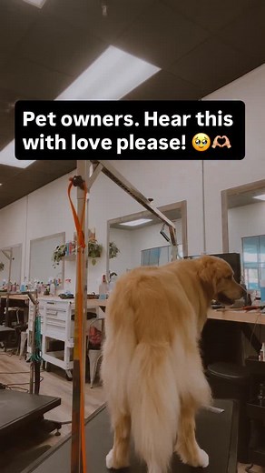 12K views · 775 reactions | Hey guys. Saying this all with so much...