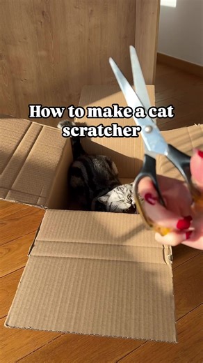 Make a super easy cat scratcher for your kitty at home 🙀 #cat #cats #diy #scratcher #catlover