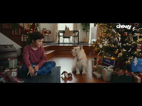 Pets Aren't Just Pets, They're More: Gift Guesser Dog| Chewy Holiday