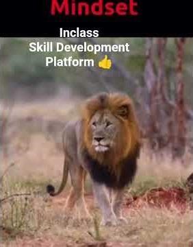 Practical Digital Skills #skills #inclass #youtube #motivation #wfhonline