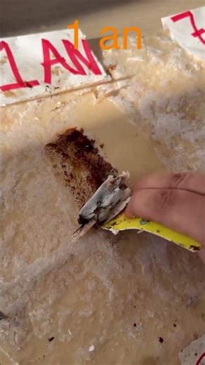 Télécharge STOP - Le lien est dans ma bio