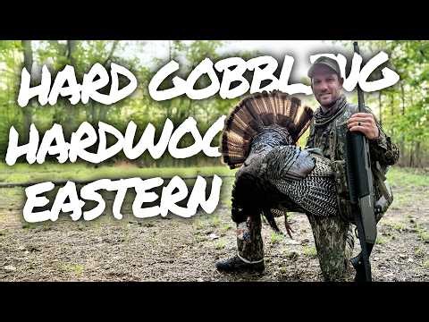 HARD Gobbling Eastern in the Hardwoods | Hunt Collective LIVE