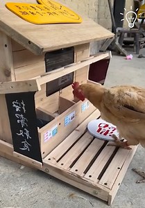 391K views · 4K reactions | The Best Chicken Coops!  | DIY Panda | Facebook
