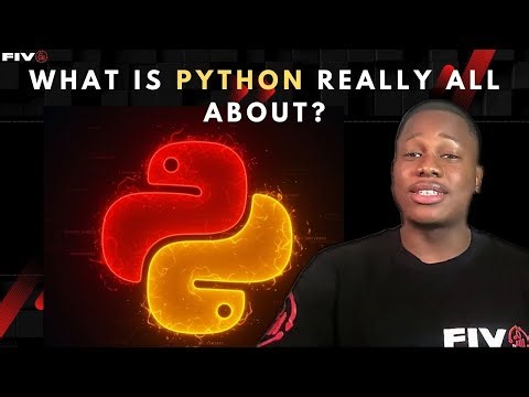 The Power of Python: Kicking Off Our Python Data Series | FIVO BI Services