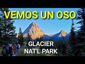 The Rockies - Grizzly Bear in Blackfoot Land | Hiking in Montana - Glacier National Park