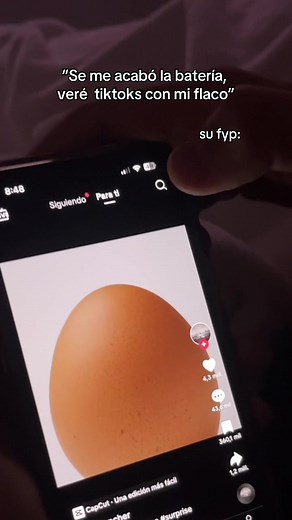 Día a Día en TikTok: Vlogs, Hauls y Más