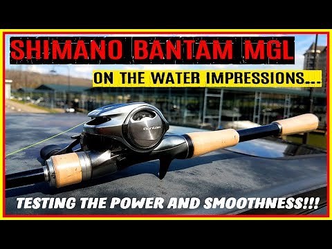 SHIMANO BANTAM MGL VS CURADO K ON THE WATER IMPRESSIONS: COMPARING POWER VS CURADO K