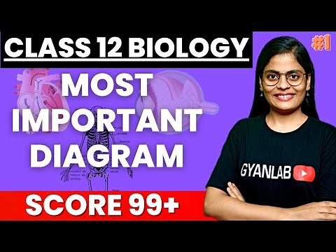 Class 12 Biology | Most Important Diagram | Part 1 | HSC Board | Gyanlab | Anjali Patel