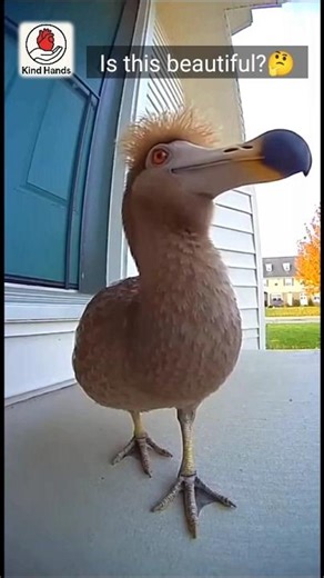 AI Recreated Dodo Bird | Extinct Species Brought to Life | Kind Hands