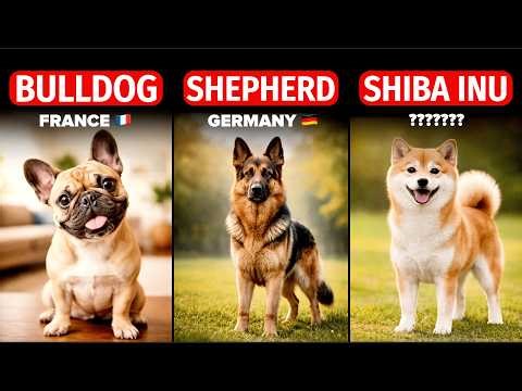 50 Most Popular Dog Breeds by Country | Complete List