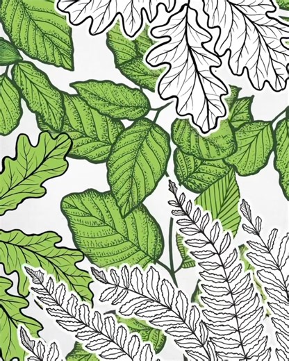 La naissance 🦌 Extrait du livre « Bambi : La véritable histoire », d’après le roman de Felix Salten (1923) adapté par Michel Larrieu avec les dessins de Michaël Cailloux aux éditions Delachaux et Niestlé : https://urlz.fr/qRiF #bambi #FelixSalten | Michaël Cailloux