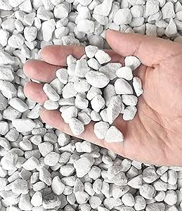 30 QT Professional Grade Horticultural Organic Perlite (30 QT, Large Size - Perlite)