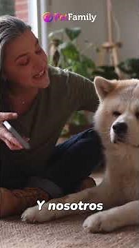 Un Amor Eterno: La Historia del Perro y el Hombre 🐾💖