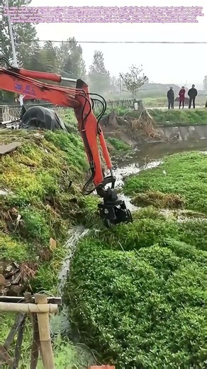 Harvesting the Murk: The Twisting Tool That Cleans Waterways