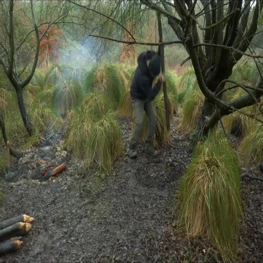 Building wood survival shelter in wildlands #survival #shelter #wildlife #outdoors