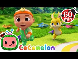 Duck Duck Goose | CoComelon Animal Time | Animal Nursery Rhymes