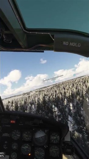 flying low over a strip of trees #christmas