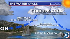 Weather U: The different phases of the water cycle
