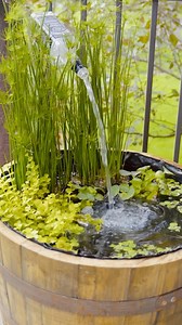 Regis Aquatics ™ on Instagram: "How to Build a Patio Pond from a Whiskey Barrel! Full video on YouTube! Link in bio! #aquascape #aquascaping #betta #bettafish #cherryshrimp #discusfish #fish #fishhobby #fishtank #freshwateraquarium #goldfish #guppies #iwagumi #koi #koifish #nanoaquarium #nanocube #nanotank #natureaquarium #plantedaquarium #plantedtank #shrimptank #houseplantslover"