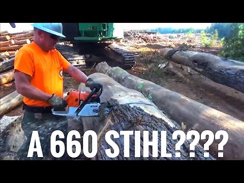 Stihl 660 Magnum vs Husqvarna 395xp cutting giants!