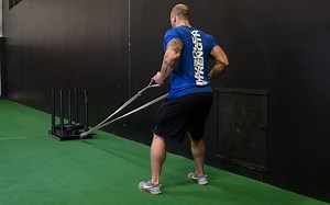 Batwing Reverse Sled Drag