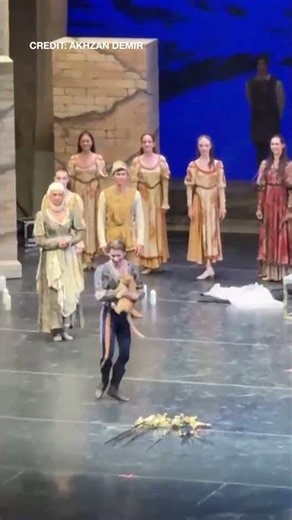 Romeow and Juliet: Cat steals the show during Russian ballet company performance