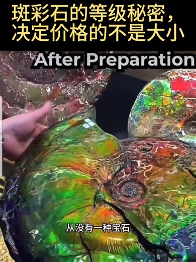 Ammolite isn’t formed like other gemstones. It comes from fossilised ammonite shells, ancient sea creatures that lived over 70 million years ago. Over time, pressure, minerals, and earth movement transformed these shells into a gemstone with natural rainbow colors. 斑彩石（Ammolite） 斑彩石是一种极为罕见的有机宝石， 它并非像钻石、红蓝宝那样在地底结晶形成， 而是来自远古海洋生物菊石（Ammonite）的化石外壳。 这些菊石生活在超过 7,000 万年前。 在漫长的地质演变中，经历了地层挤压、矿物渗入与地壳运动， 化石外壳逐渐转化为宝石， 并自然呈现出红、绿、蓝、紫等斑斓的彩虹色泽， 因此被称为——斑彩石。 每一块斑彩石的颜色、纹理与光泽都独一无二、无法复制， 这也正是它珍稀与收藏价值极高的原因。 #斑彩石#斑彩螺化