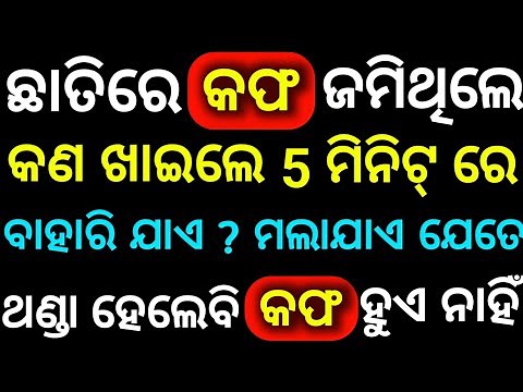 Odia Gk Questions And Answers ||Odia Gk Quiz ||Odia General Knowledge ||Sadharana Gyan ||Gk In Odia