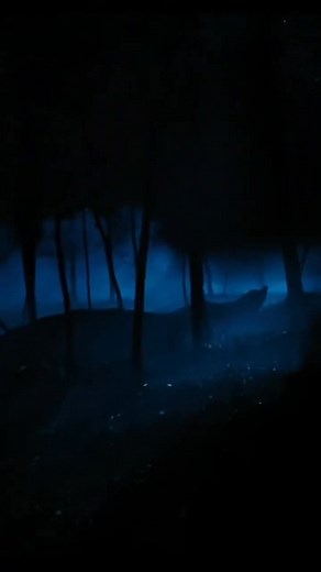 La muerte de Alpin Fraser - Historias y Relatos #clip 1 Otros clips en el canal... Vampiros reales: La ultima vampiresa de Nueva Inglaterra Más vampiros reales... Vampiros Reales: 15.000 Vampiros viven en el Reino Unido #fblifestyle De más está decir que el tema de los vampiros se ha convertido en un tópico universal; sin embargo, las leyendas de vampiros no son exclusivas de nuestros tiempos, de hecho, se extienden hacia un pasado tan remoto como inexplorado. Si bien con el transcurso de los si