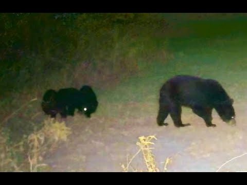 PA Bow Season 2025 1st week in the books and what a week it was!