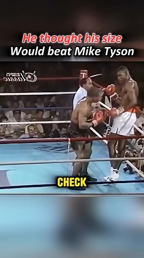 225K views · 2.4K reactions | This time, the mad cow encountered a real hunter! #boxer #boxinglife #boxinglive #boxinglegend #viral #fyp #fbreels #boxing #mma | Rise of the Cage Kings | Facebook