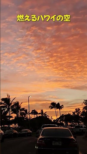 燃えるハワイの空 🌺 ハワイ、いま目の前に広がります！