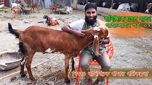 26K views · 2K reactions | Commercial Goat Farm Planning ।। ছাগলের...