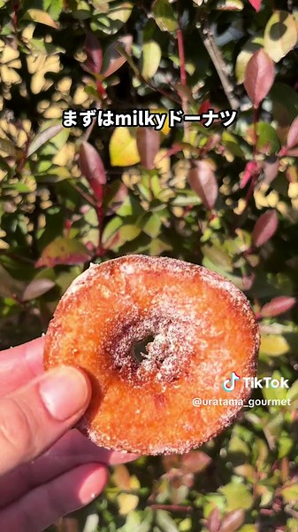 【浦和・衝撃】 不二家の概念、引き裂かれた。 パルコ地下に現れた「ドーナツ界の怪物」🍩 正直、舐めてた。 「あの不二家でしょ？」って。 でも、浦和パルコにオープンした 『ペコちゃん milky ドーナツ』はマジで別格。 見て、この引き裂いた時のモチモチ感。 米油で揚げてるから、持った瞬間「軽ッ！」ってなるのに 食べるとミルキーのコクが脳を直撃する…🤤 🍽️ 今回のオーダー ぺこちゃんドーナツBOX 1,000円！ →オープン記念のお得セット🉐 詰め合わせ内容は ・まみれさんのドーナツ ・リングドーナツ ・milkyドーナツ(プレーン) ・milkyドーナツ(チョコ) ・milkyクリームドーナツ(プレーン) ✨ うらたま的推しポイント ✨ ✅ 浦和パルコ記念限定： どこでも買える不二家じゃない。 ✅ 米油の魔法： 全く油っぽくない。無限に食える。 ✅ チョコまみれ信者必見： あの「チョコまみれ」がドーナツ化。 不二家の皮を被った、本気のドーナツ🍩 「ダサいたま」なんて言わせない、浦和の定番ドーナツに！ 「映え」だけのスイーツに飽きた人は、 今すぐパルコの地下に潜って。 これ、