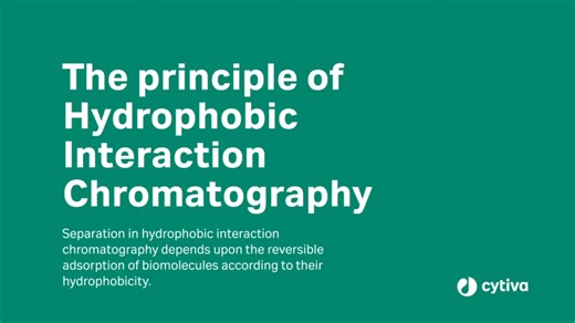 How HIC Chromatography Refines Protein Purity | Spinco Biotech posted on the topic | LinkedIn