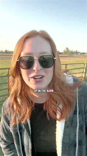 Wrangling cows is like wrangling a group of toddlers… #farm #fblifestyle #livestock #cows #funn #cowfarm | Farmer Life