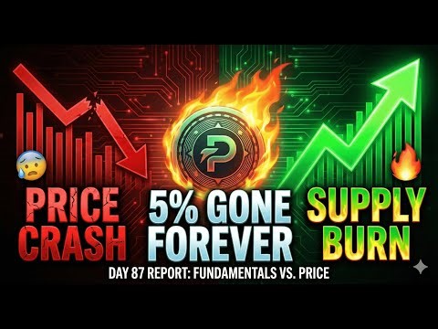 Plazm Short Term Update:PLASM Day 87: 5% Supply BURNED Forever! (Historic Event)