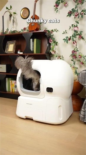 No Scoop or Refilling Daily，Really For 20 Hand-free Days