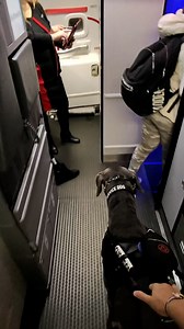 3.6M views · 10K reactions | Cutie on duty! ❤✈️ | Furry Tails | Facebook