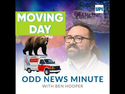 Crashed truck releases 15,000 live crabs next to road