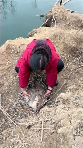 Flock of Geese + Eggplant Farming + Aquaculture Revolution