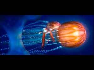 Happy Feet 2 Spot 20 en Español