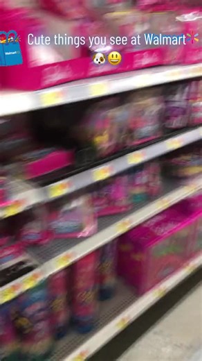 The Simple Joys of Rascal: A Happy Dog's Life