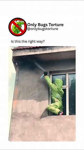 @bugsvideosonly | Bugs torture was a form of cruel punishment in which insects were used to inflict suffering on a victim, often in slow and agonizing ways.... | Instagram