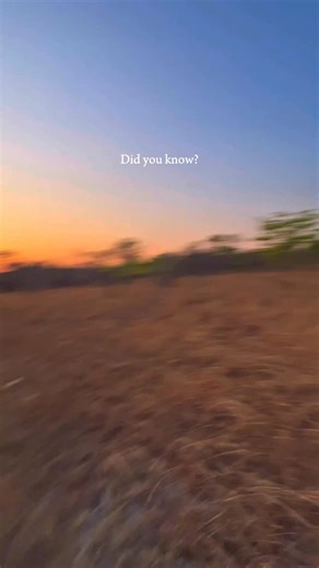 1.8K views · 9 comments | Zimbabwe has just been named the number one...