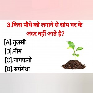 848K views · 10K reactions | Gk Quiz in hindi | general knowledge | Gk questions #gkquizinhindi #generalknowledge #Gkquestions #Gkinhindi | Gk Quiz Dharmveer | Facebook