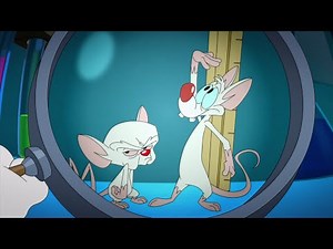Animaniacs (2020) - Pinky and the Brain intro (Instrumental)