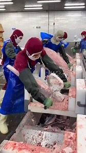 How to make tuna sashimi #diy #working #machine | ᴛᴇᴍᴀᴢᴏꜱ ᴘᴀʀᴀ ᴄᴏᴍᴘᴀʀᴛɪʀ