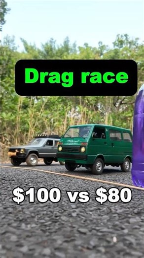 $100 vs $80 rc car drag race