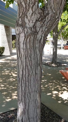 3.4K views |  Get lost in the fun! Tomorrow, Halloween Haunt is...